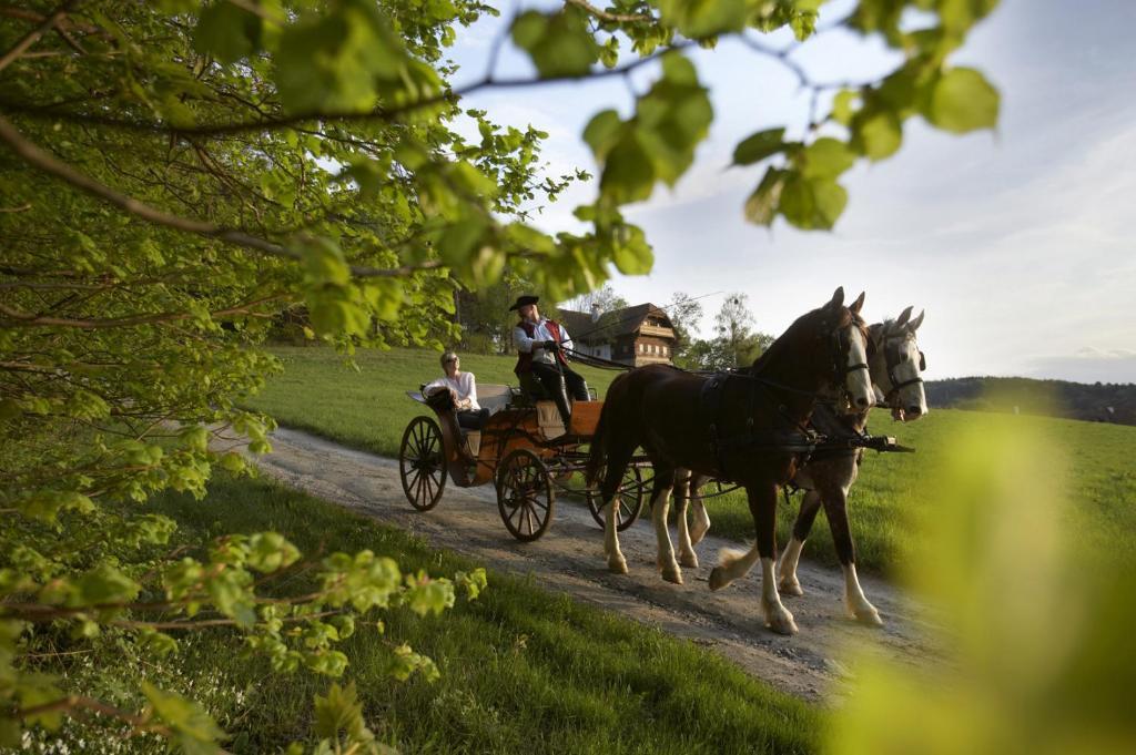 Ferienhaus Troadkasten - Familie Friedrich Hartberg Luaran gambar